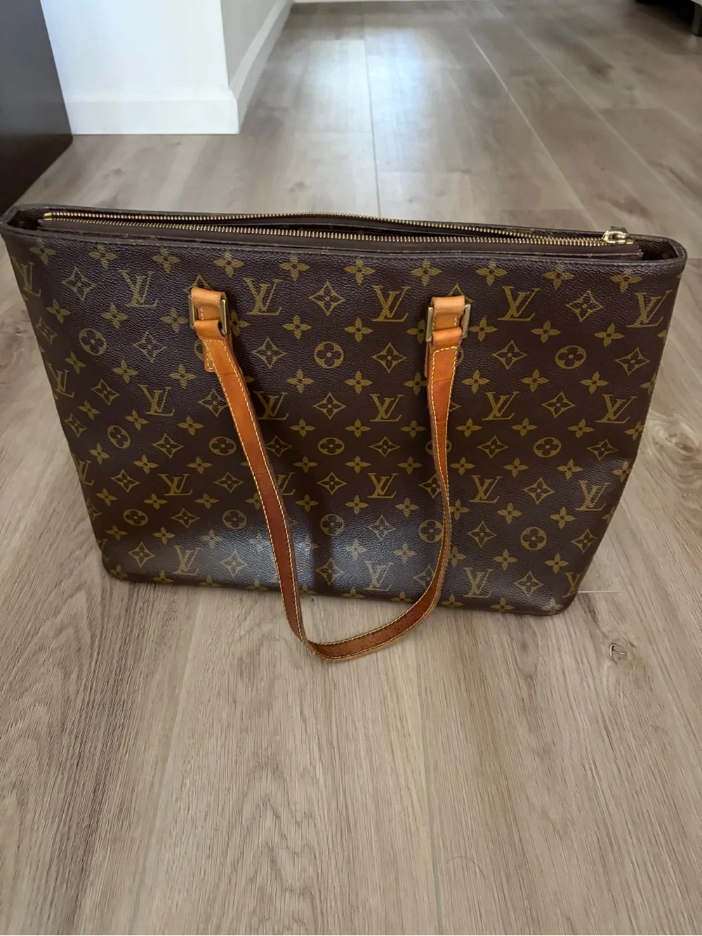 Louis Vuitton large louis